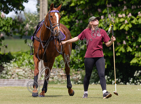 Polo groom with pony