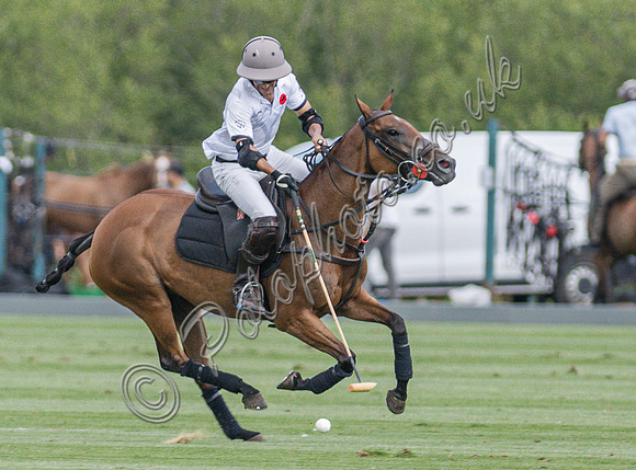 Polo action, 2025 Gold Cup, Cowdray Park Polo Club