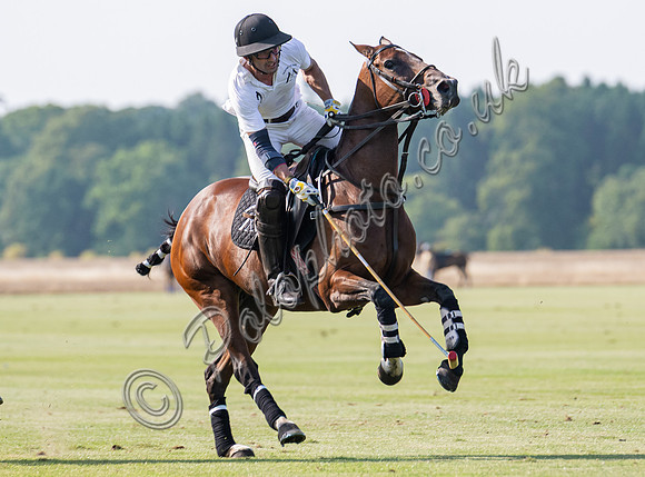 Polo action, County Cup 2025 league match, Cirencester Park