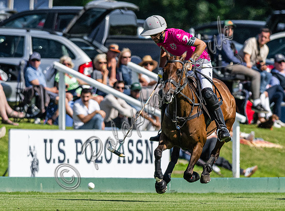 Polo action and presentation - 2024 Gold Cup, Cowdray Park Polo Club