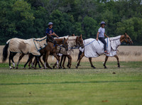 Polo action, County Cup 2025 league match, Cirencester Park