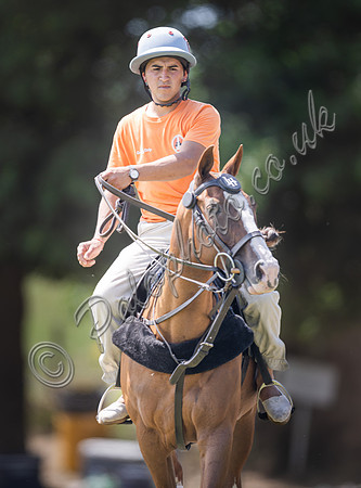 olo action, 2025 Gold Cup, Cowdray Park Polo Club