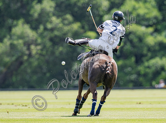 olo action, 2025 Gold Cup, Cowdray Park Polo Club