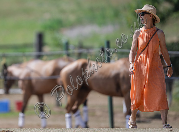 olo action, 2025 Gold Cup, Cowdray Park Polo Club