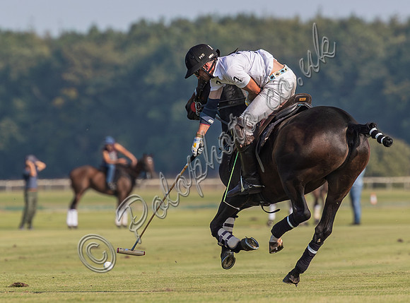 Polo action, County Cup 2025 league match, Cirencester Park