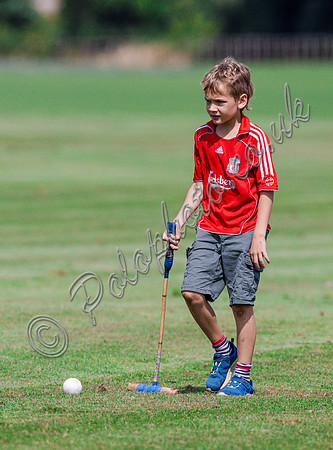 Treading in the divots at polo