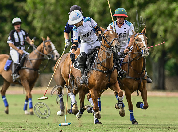 Polo action, Wichenford Bowl 2025 semi-final match, Beaufort Polo Club