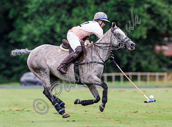 Polo action, The Neil Hague Cup, Cirencester Park