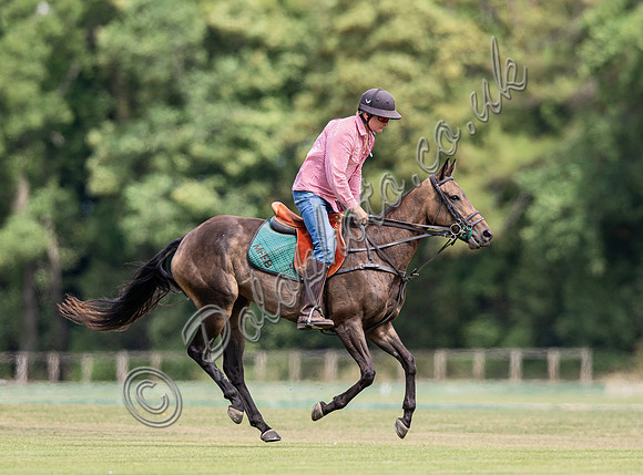 2025 County Cup semi-final action at Cirencester Park Polo Club