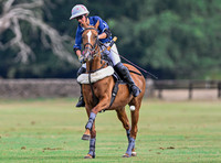Polo action, Wichenford Bowl 2025 semi-final match, Beaufort Polo Club