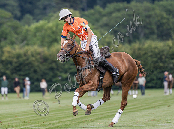 Polo action, 2025 Gold Cup, Cowdray Park Polo Club