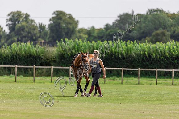 Polo action, The Neil Hague Cup, Cirencester Park