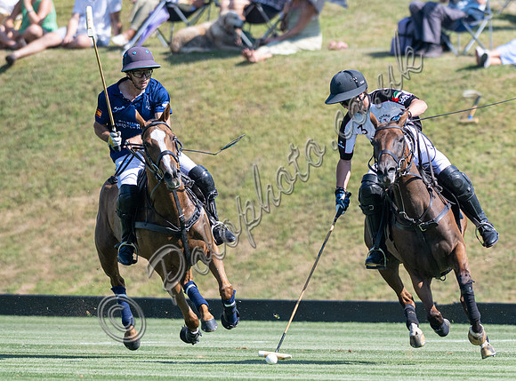 Polo action, 2025 Gold Cup quarter finals, Cowdray Park Polo Club