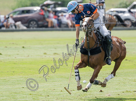 olo action, 2025 Gold Cup, Cowdray Park Polo Club