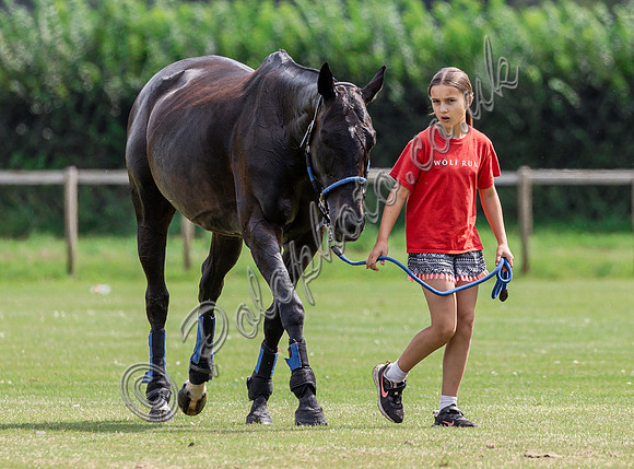 Polo action, The Neil Hague Cup, Cirencester Park