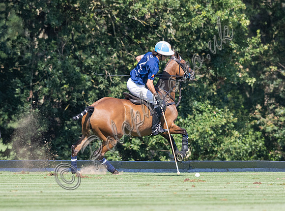 Polo action, 2025 Gold Cup quarter finals, Cowdray Park Polo Club