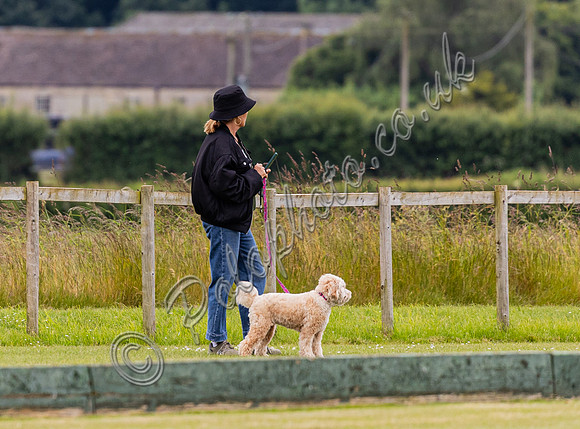 Polo action, Warwickshire Cup 2024 at Cirencester Park