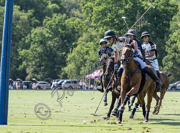 Polo action, 2025 Gold Cup quarter finals, Cowdray Park Polo Club