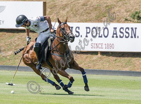 olo action, 2025 Gold Cup, Cowdray Park Polo Club