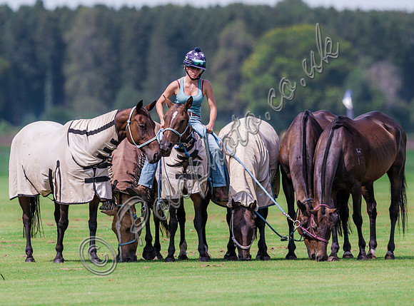Polo action, The Neil Hague Cup, Cirencester Park