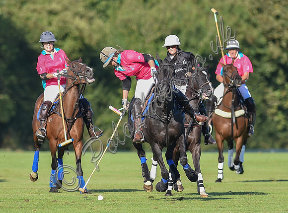 polo action between Coxwell and Supanova