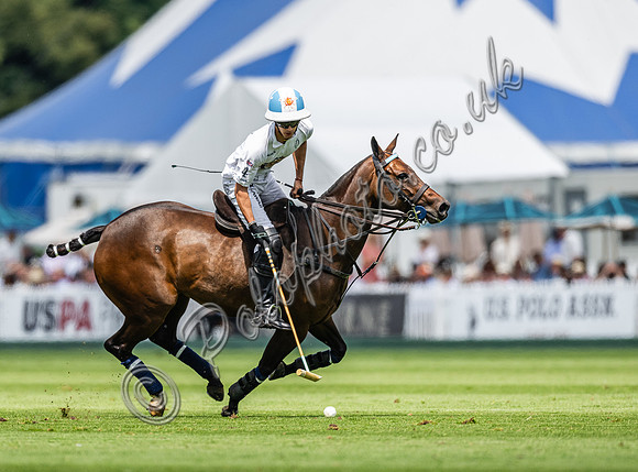 Polo Action 2024 Gold Cup, Cowdray Park Polo Club