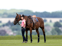 Polo action, Glion County Cup, Cirencester Park