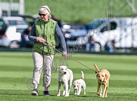 Polo action, 2024 Gold Cup, Cowdray Park Polo Club
