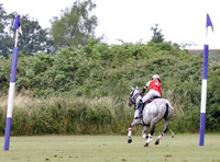 Polo action, Ladies 18 Goal Tournament,  Cirencester Park