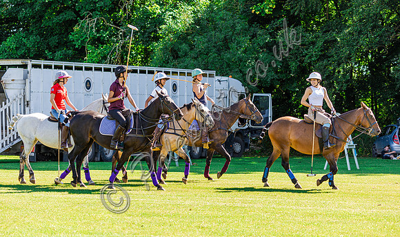 OKL Equestrian - Olivia Lamphee