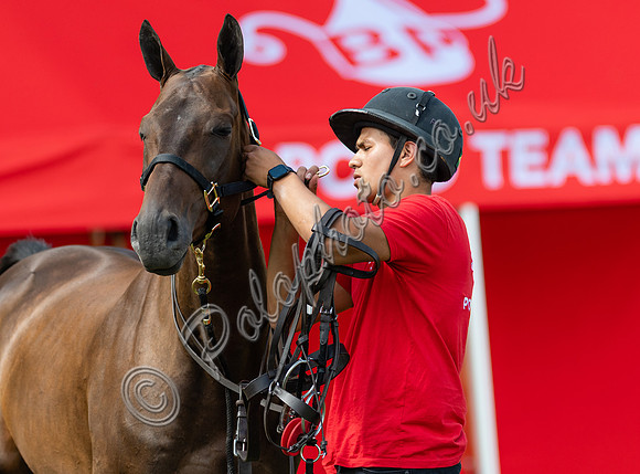 polo grooms and ponies