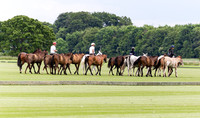 Polo action, June 12 Goal, Cirencester Park