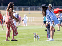 Treading in at polo match