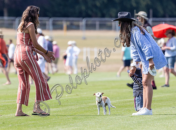 Treading in at polo match