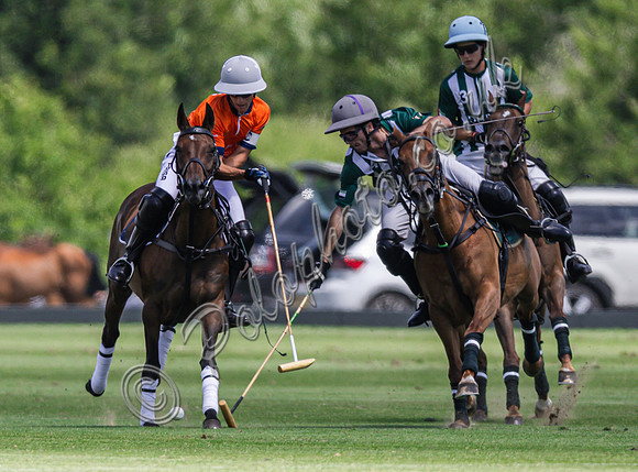 Polo action, 2025 Gold Cup, Cowdray Park Polo Club