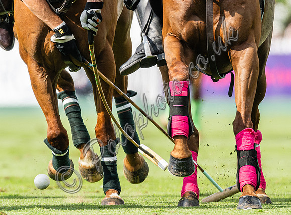 Polo action 2024 Tramontana Cup, Gold Cup at Cowdray Polo