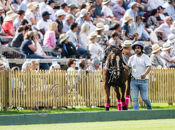Polo action 2024 Tramontana Cup, Gold Cup at Cowdray Polo