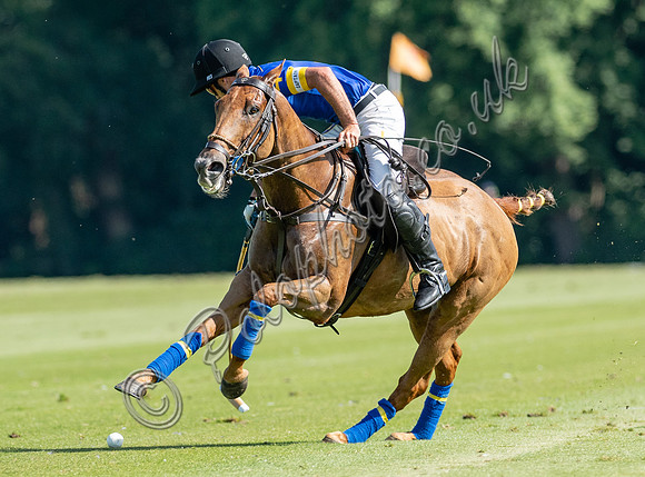 Polo action, 2021 Gold Cup, Cowdray Park Polo Club