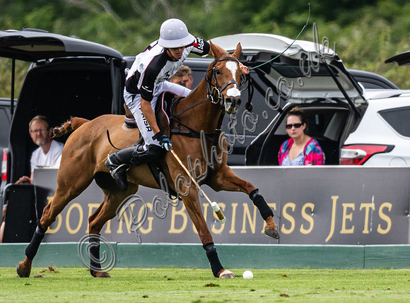 Polo action, 2024 Gold Cup, Cowdray Park Polo Club