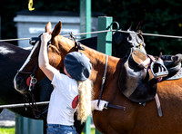 Polo action, 2022, Autumn Cup, Cowdray Park Polo Club