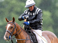 Polo action Bathurst Cup, Cirencester Park