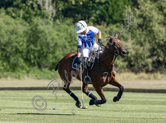 Polo action and presentation NPM Tournament 2025, Cirencester Park