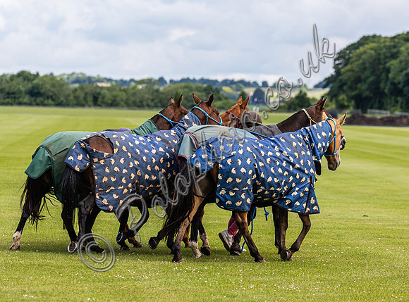 Polo action, Warwickshire Cup 2024, Cirencester Park