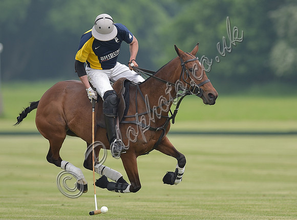 polo action