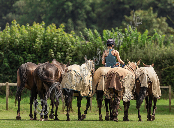 Polo action, The Neil Hague Cup, Cirencester Park
