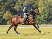 Polo action, County Cup 2025 league match, Cirencester Park