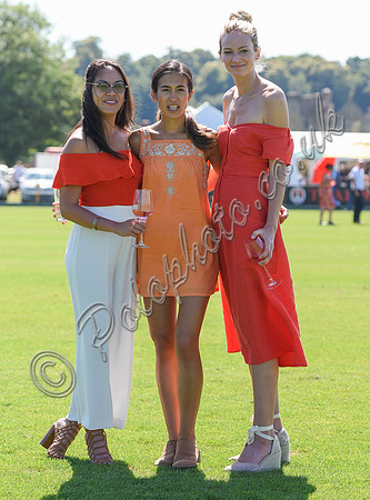 Argentine Ambassador's Cup  El Remanso v Habtoor