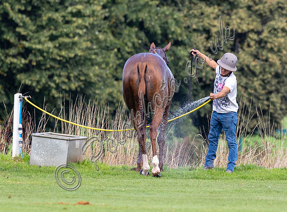 Polo action, 2022 Autumn Cup, Cowdray Park Polo Club