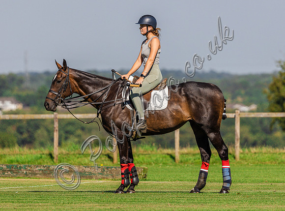 Polo action, ??? Cup, Cirencester Park