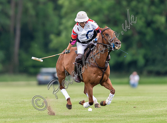 Polo action, Warwickshire Cup Final, Cirencester Park